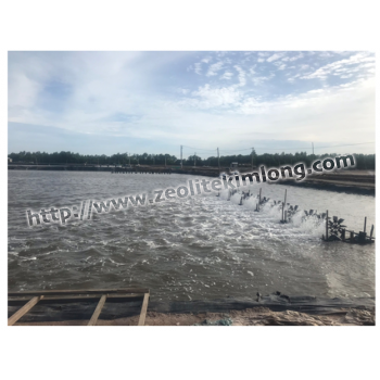 Công Dụng Của Zeolite Đối Với Nuôi Trồng Thuỷ Sản.