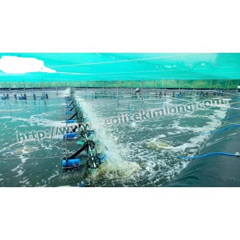 ZEOLITE Khử Độc Trong Nuôi Trồng Thuỷ Sản